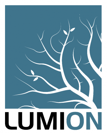 Lumion 10