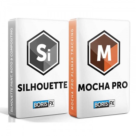 Silhouette Paint + Mocha Pro Bundle v2020 (Annual Subscription Multi-Host - Floating)